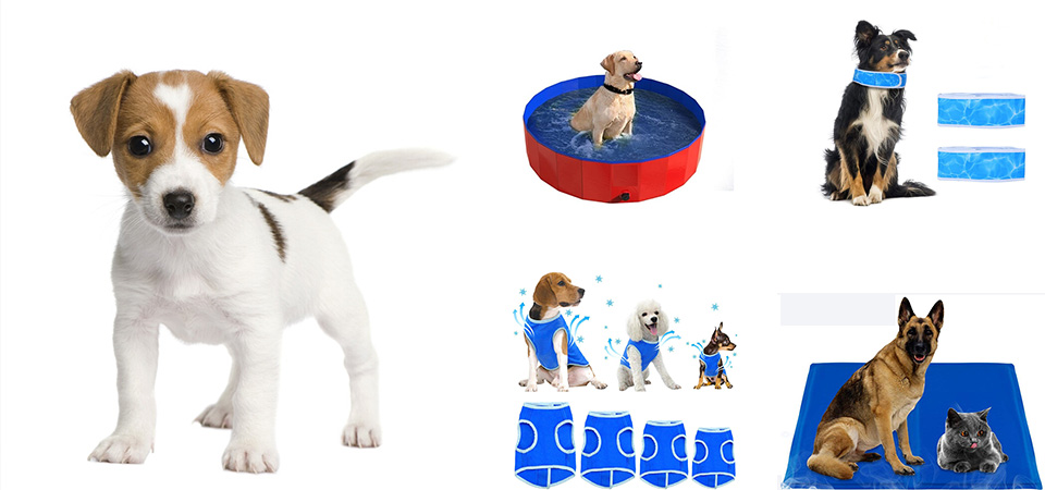 Pet cooling products